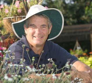 Caladiums Can Be Solution To Shade Problems