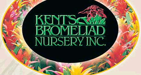 Kent’s Bromeliad Nursery