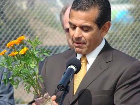 Branded Floral Displays An Emerging Market