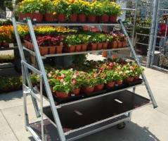 Online Only: Carts & Racks Showcase