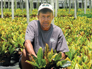 Enhancing Crop Protection