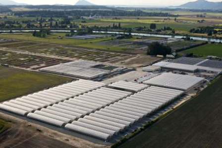 Northwest Horticulture