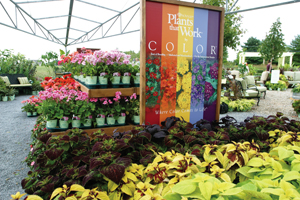 Varieties En Vogue