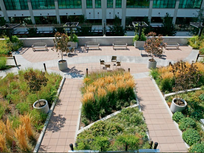 Green Roofs Offer Sky-High Possibilities