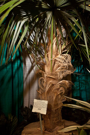 Slideshow: TPIE 2010