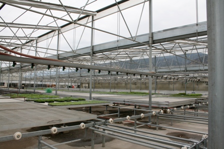 Slideshow: Colorama Wholesale Nursery