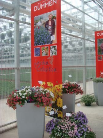CK Greenhouses Hosts Open House
