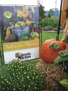 Is Fall For Planting?
