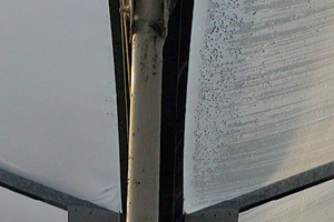 Greenhouse Films: Stretching It