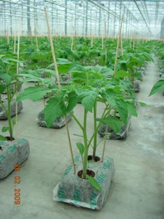 2 Jiffy Products Now OMRI Listed