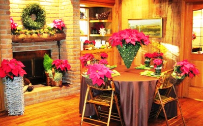 Ecke Wraps Up Poinsettia Open House