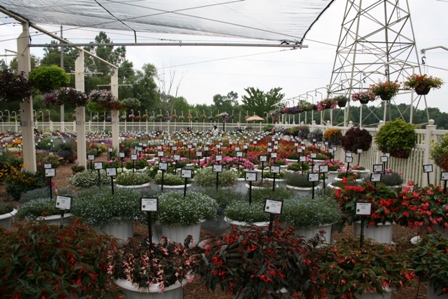 Slideshow: Mast Young Plants Trial Garden