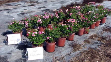 Manipulating Fertilizer Input