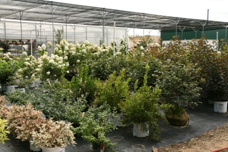 Is A Pickup Yard In Your Future?