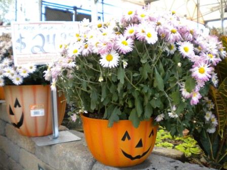 Montgomery’s Charlotte Retail Report