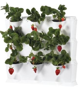 New Take On Container Gardening