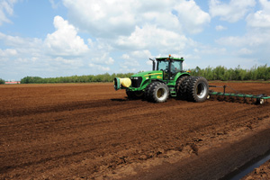 The Peat Report: How Producers Harvest