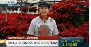 Video: PJ Ellison Talks Poinsettias On CNBC