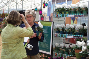 Medal Of Excellence: Behind Branding