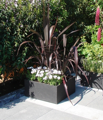 Tesselaar Introduces 2010 Plants