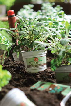 Burpee Is Reborn: Marketer Of The Year Award Winner