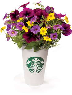 Garden State Growers Mirrors The Starbucks Model