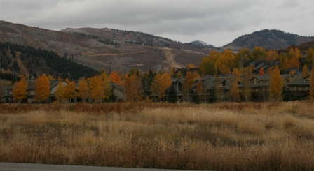 Top 100 Growers Gather For Annual Greenhouse Xchange