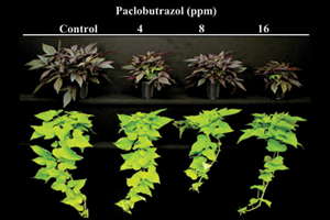 Control Stem Length With Liner Dips