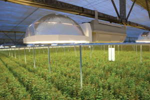 Get More From Your Light Fixtures