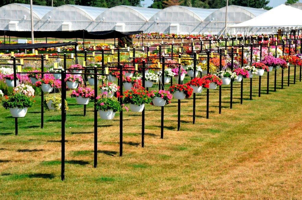 Top Picks From Raker’s Trial Garden