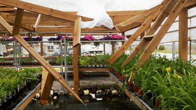 Midwest Growers Weather Storms