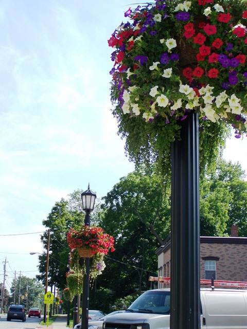 Remembering 9/11 And America In Bloom