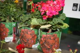 Ellepot Retail Packaging Unveiled  