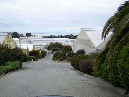 Groundwork Laid For Top 100 Grower’s Future