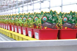 Vermicompost: Breaking Down The Benefits