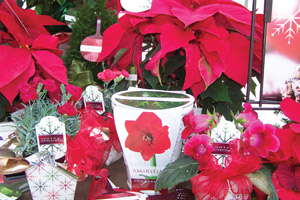 Perspective: Rick Vulgamott Of The John Henry Company