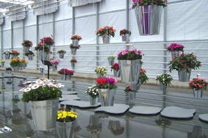 Euro Style Flower Trials