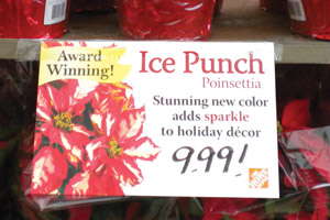 Mystifying Marketing