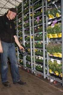Dutch Grower Realizing Better Logistics With RFID