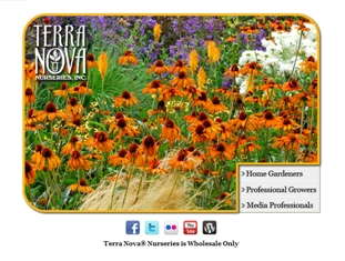 Terra Nova Launches New Technologies To Engage Online Communities