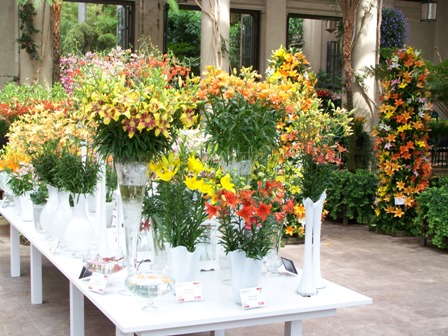 Lilytopia 2011 at Longwood Gardens [Slideshow]