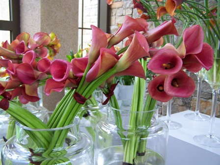 Filmmakers Release “Field To Vase, The Documentary,” Supporting America’s Flower Farmers