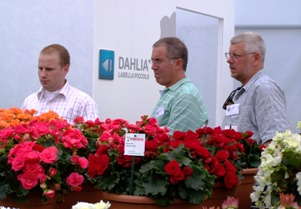 Dutch Breeder Builds North American Presence