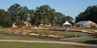 Peat Shortage Among Topics Discussed At Field Day