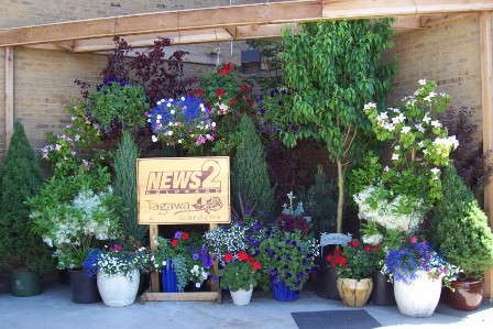 Tagawa Gardens Takes Advantage Of TV News