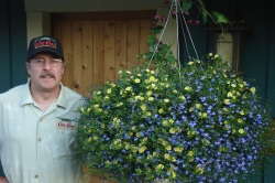 Organic Fertilizers In Greenhouse And Nursery Production