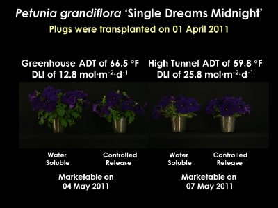 Academic Team Dedicated To Sustainability Research