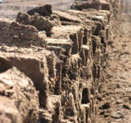 Peat: Is Supply To The U.S. Going Global?