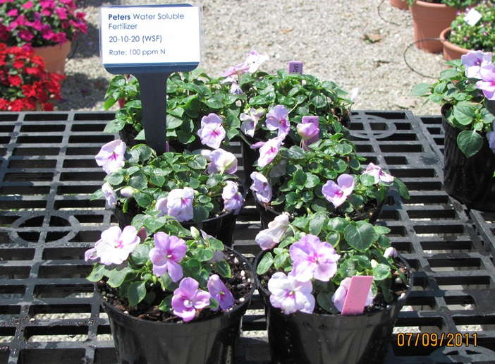 Using Controlled-Release Fertilizers