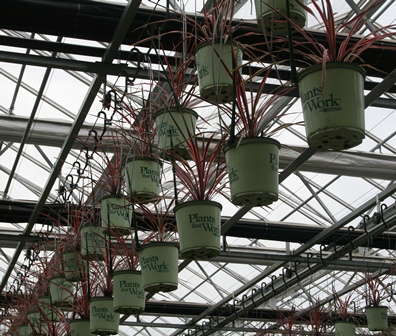 Plants That Work Brand Now Officially Imperial’s, Willoway’s